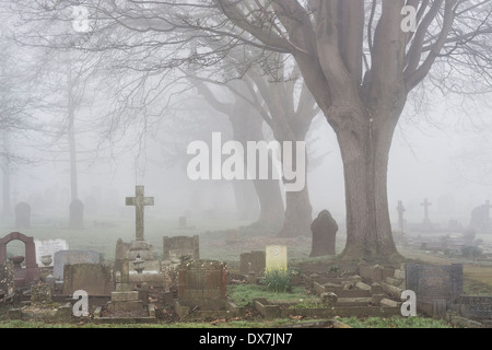 La pierre tombale dans le cimetière de brouillard à Banbury, Oxfordshire, Angleterre Banque D'Images