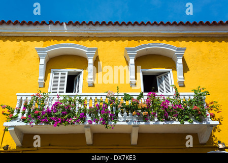 Jaune et Blanc balcon historique à Cartagena, en Colombie avec des fleurs colorées Banque D'Images