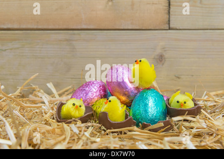 L'éclosion de poussins de Pâques jouet des œufs en chocolat dans un nid de paille. Banque D'Images