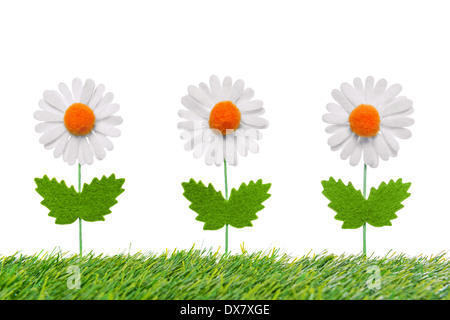 Trois marguerites artificielles dans l'herbe verte isolée sur fond blanc. Banque D'Images