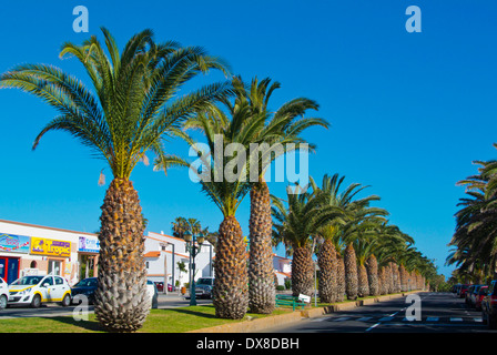 Avenida del Castillo street, Caleta de Fuste, Fuerteventura, Canary Islands, Spain, Europe Banque D'Images