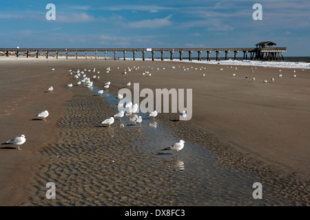 Plage de Tybee Island et Pier - Tybee Island, Géorgie Banque D'Images