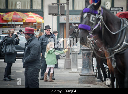 Manhattan, New York, USA. Mar 19, 2014. Une petite fille nourrit une carotte pour un cheval attelé à un chariot élévateur sur la 59e Rue, le mercredi 19 mars 2014. L'interdiction des voitures à chevaux ; que le maire Bill De Blasio promis était imminent quand il a pris le pouvoir s'est avérée difficile à réaliser sur le plan législatif, selon les membres du conseil municipal qui disent qu'il n'a pas obtenu suffisamment de soutien. Credit : Bryan Smith/ZUMAPRESS.com/Alamy Live News Banque D'Images