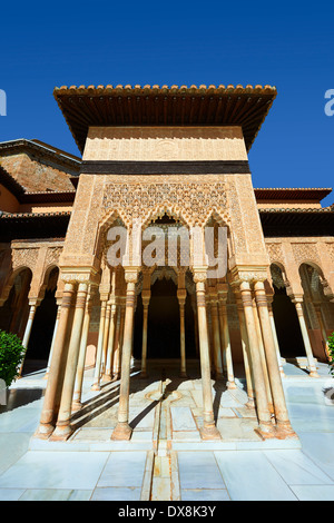 Mocarabe nasride Arabesque architecture mauresque de la Cour des Lions de l'Palacios Nazaries, à l'Alhambra. Grenade,