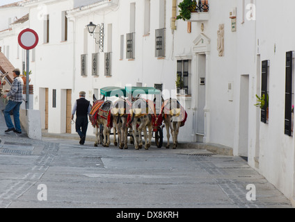 Voitures de tourisme guide de l'homme dans l'âne espagnol village blanc de Mijas, Espagne du Sud. Banque D'Images