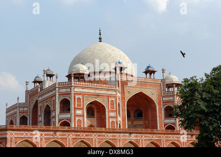 Tombe de Humayun Banque D'Images