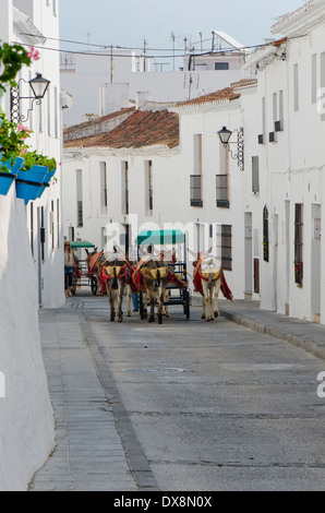 Âne touristiques directeurs calèches dans le spanish village blanc de Mijas, Espagne du Sud. Banque D'Images