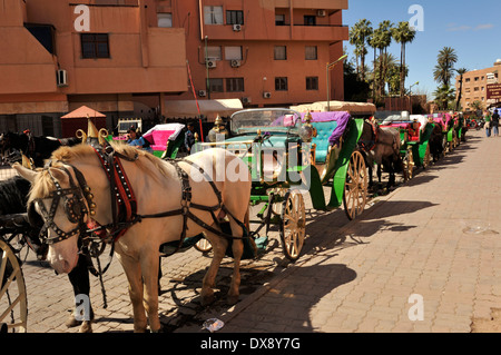 Ligne de calèches en attente de clients, Marrakech, Maroc Banque D'Images