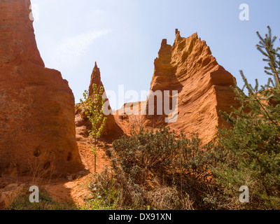 Des pinacles et des arbres de Red Rock Country. Un érable avec feuilles de printemps pousse dans les landes de red rock Le Colorado Provençal Banque D'Images