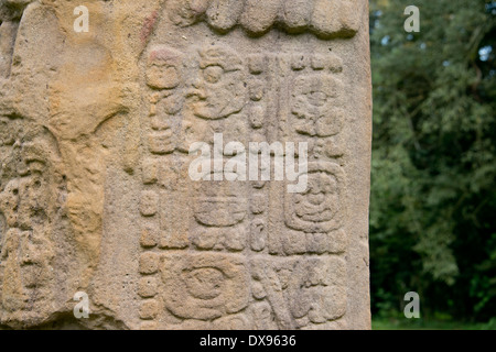 Le Guatemala, le Département d'Izabal, Quirigua Parc National. Site archéologique maya, période Classique (200-900 AD). Banque D'Images