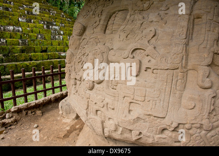 Le Guatemala, le Département d'Izabal, Quirigua Parc National. Site archéologique maya, période Classique (200-900 AD). Zoomorph P. Banque D'Images