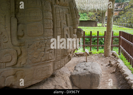 Le Guatemala, le Département d'Izabal, Quirigua Parc National. Site archéologique maya, période Classique (200-900 AD). Zoomorph P. Banque D'Images