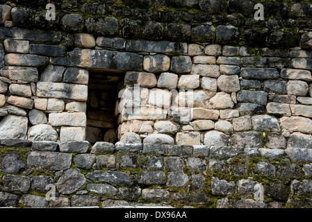 Le Guatemala, le Département d'Izabal, Quirigua Parc National. Site archéologique maya de la période Classique (200-900 AD). Banque D'Images
