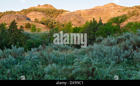 Le Dakota du Nord, le Parc National Theodore Roosevelt, Unité Nord, roche couverture Coulee Sentier Nature, tôt le matin Banque D'Images