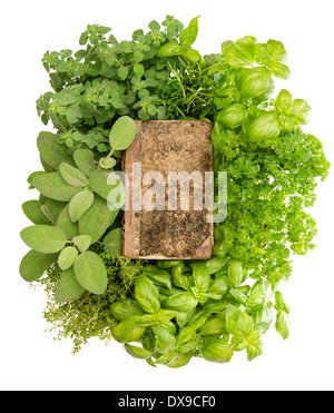 Vintage livre avec la variété des herbes fraîches sur fond blanc Banque D'Images