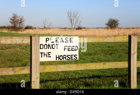 Un panneau d'avertissement demandant s'il vous plaît ne pas nourrir les chevaux. Banque D'Images