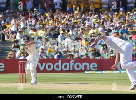 Bols d'Kleinveldt Rory Ricky Ponting l'Australie contre. L'Afrique du sud de Cricket a tenu à Adélaïde Adélaïde, Australie - 24.11.12 comprend : Rory Kleinveldt bols à Ricky Ponting Quand : 24 Nov 2012 Banque D'Images