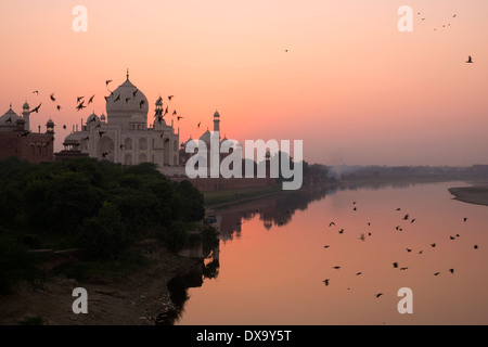 L'Inde, Uttar Pradesh, Agra, oiseaux en vol près de Taj Mahal au crépuscule Banque D'Images