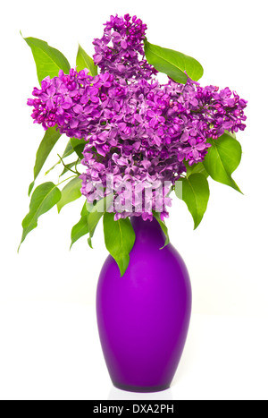 Bouquet de lilas dans un vase de fleurs sur fond blanc Banque D'Images