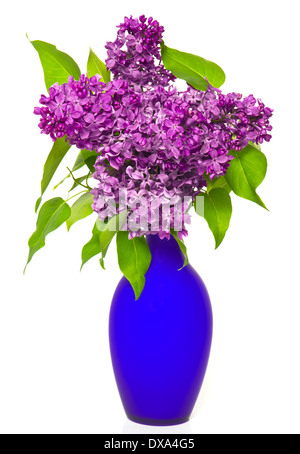 Bouquet de lilas fleurs dans un vase bleu Banque D'Images