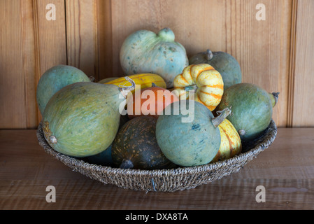 Panier de courges d'hiver. Banque D'Images