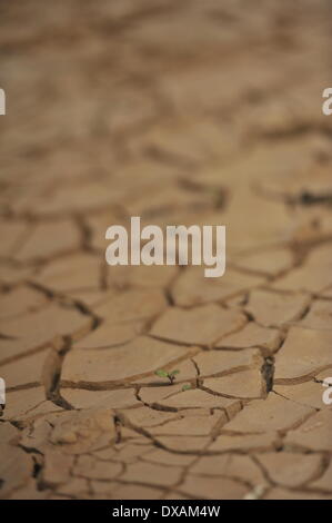 DHAKA, BANGLADESH - MARS 21 : La chaleur de l'été prochain la surface du lac un résultat de la chaleur torride. 22 Mars est observée comme la Journée mondiale de l'eau qui est le respect international de la Journée mondiale de l'eau est une initiative qui est née de la Conférence des Nations Unies de 1992 sur l'environnement et le développement (CNUED) à Rio de Janeiro. Le thème de cette année est "d'identifier les meilleures pratiques qui peuvent faire une économes en énergie et en eau de l'industrie "verte" une réalité." (photo de Zakir Hossain Chowdhury / Pacific Press) Banque D'Images