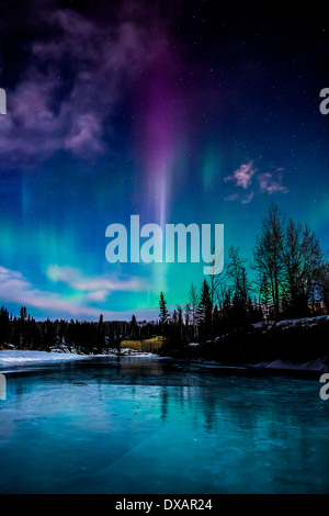 Une flamme violette se détache de la Northern Lights au-dessus Elbow River en Alberta, Canada. Banque D'Images