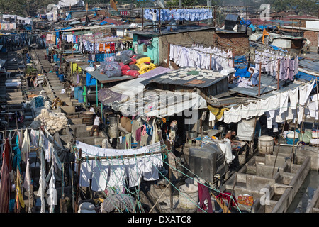 Avis de Dhobis laver les vêtements dans la piscine en plein air blanchisserie Mahalaxmi Dhobi Ghat à Mumbai, Inde Banque D'Images