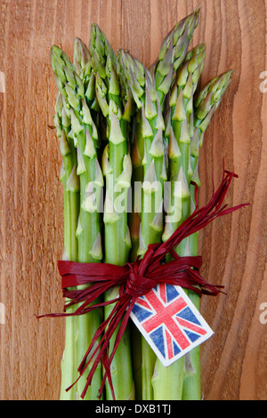 Asperges vertes fraîches attaché avec du raphia de couleur aubergine contre fond de bois, UK Banque D'Images