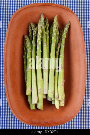 Un tas d'asperges vertes fraîches dans un plat d'argile terre cuite rustique contre un vintage tissu vichy bleu et blanc, UK Banque D'Images