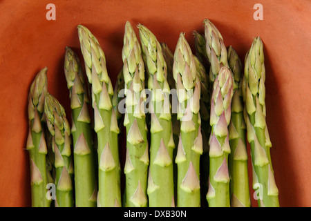 Un tas d'asperges vertes fraîches dans un plat d'argile rustique en terre cuite dans une cuisine britannique, UK - close-up Banque D'Images