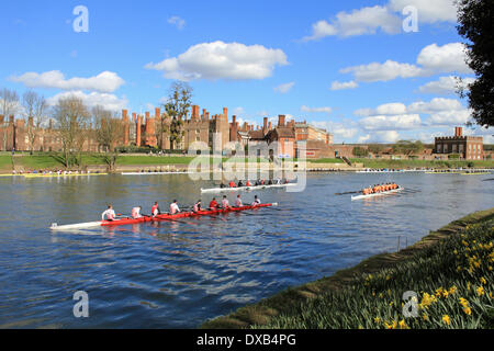 Tamise à Hampton Court, SW London, UK. 22 mars 2014. La préparation pour le début de la tête de Kingston de la rivière de la race. Plus de 200 équipes étaient en compétition dans l'événement annuel couvrant 3 miles de la Tamise entre le Palais de Hampton Court et Kingston Rowing Club. Tous les équipages du sud-est de l'Angleterre est en concurrence plusieurs classes y compris huit, quatre, en couple et les rameurs, avec senior, junior, Mens Womens et équipes. Les résultats ne sont pas encore disponibles. Credit : Julia Gavin/Alamy Live News Banque D'Images