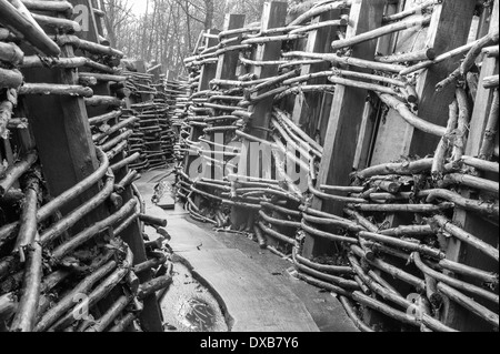 Allemand WW1 tranchées restaurées à Bayernwald, nr Heuvelland Kemmel (Belgique), de l'ouest. Banque D'Images