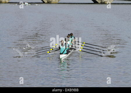 Dublin, Irlande. 22 mars 2014. Une des courses de bateaux dans le 70e Chef de la Dublin river race sur la rivière Liffey. Plus de 40 bateaux ont eu lieu dans le Dublin 2014 Chef de la rivière de la race. Cette course d'aviron qui a eu lieu sur la rivière Liffey à Dublin a été organisé pour la 70e fois. Crédit : Michael Debets/Alamy Live News Banque D'Images