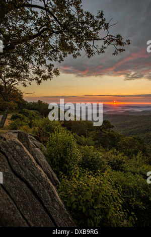 Lever du soleil sur les montagnes Blue Ridge de Hazel Mountain oublier dans Shenandoah National Park le 22 novembre 2013 en Virginie Banque D'Images