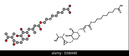 Mupirocine (pseudomonic) molécule d'antibiotiques. Utilisé en application topique contre les bactéries gram-positives. Banque D'Images