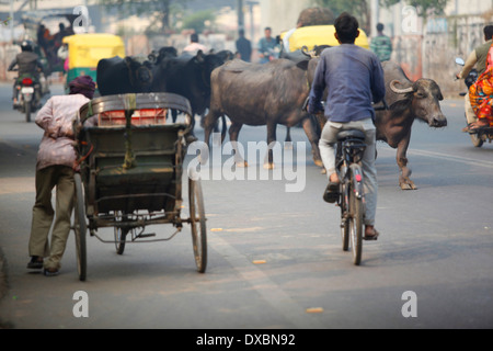 Embouteillage dans une rue d'Agra. L'Uttar Pradesh, Inde. Banque D'Images