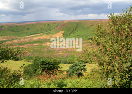 Trou de Horcum North Yorkshire Angleterre UK Banque D'Images