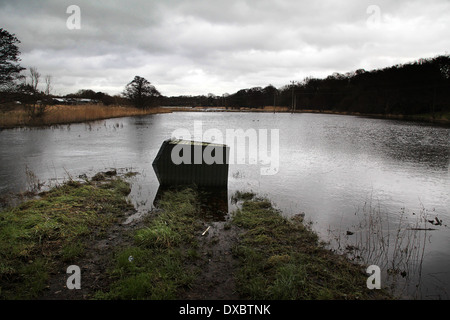 L'inondation dans la rivière Meon, Titchfield Hampshire, Angleterre - Février 2014 a renversé ; Abri de jardin en zone inondée. Banque D'Images