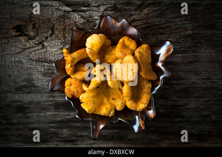 Chanterelles en bol en verre situé sur bois rustique Banque D'Images