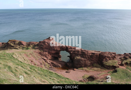 Aiguille de e'e rock arch dans le grès rouge des falaises seaton angus scotland mars 2014 Banque D'Images