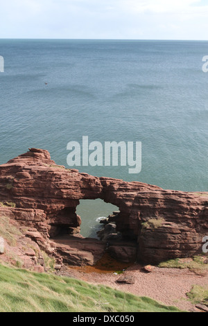 Aiguille de e'e rock arch dans le grès rouge des falaises seaton angus scotland mars 2014 Banque D'Images