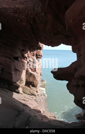 Aiguille e'e rock arch dans le grès rouge des falaises seaton angus scotland mars 2014 Banque D'Images