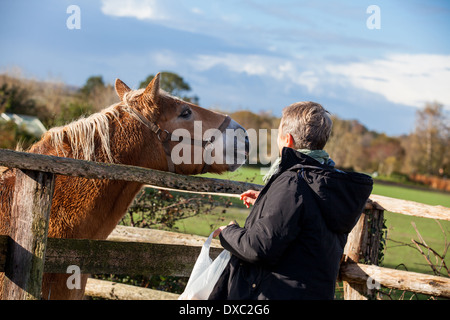 Couple de personnes âgées en riant et s'amusant de flatter un cheval dans un enclos par une froide journée d'hiver ensoleillée comme ils jouissent de la liberté de leur retraite Banque D'Images