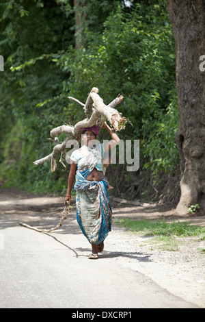 Femme Tribal transporter le bois et bébé au dos. Tribu Munda. Bartoli village de Ranchi, Jharkhand en Inde district Banque D'Images