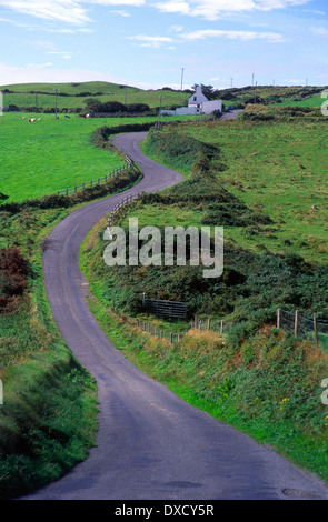 Route de campagne sinueuse, ferme rurale qui passe, péninsule de Beara Dursey Head, dans le comté de Cork, Irlande Banque D'Images