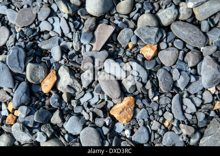 Kimmeridge bay plage rocheuse, Dorset, UK, prises le jour de printemps fine Banque D'Images
