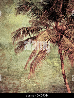 Beau paysage tropical avec plage et palmier sous golden sunset sky. Image dans un style vintage. L'Inde Banque D'Images