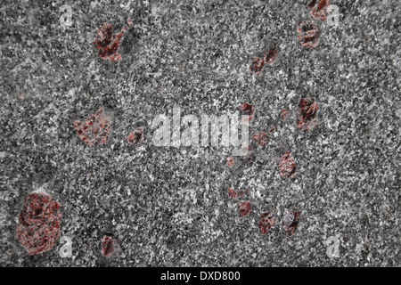 L'Almandin (gneiss & hornblende) Tvedestrand, précambrien de la Norvège Banque D'Images