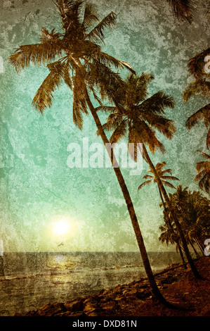 Beau coucher du soleil à plage tropicale avec palmiers. Paysage de l'océan dans un style vintage. L'Inde Banque D'Images